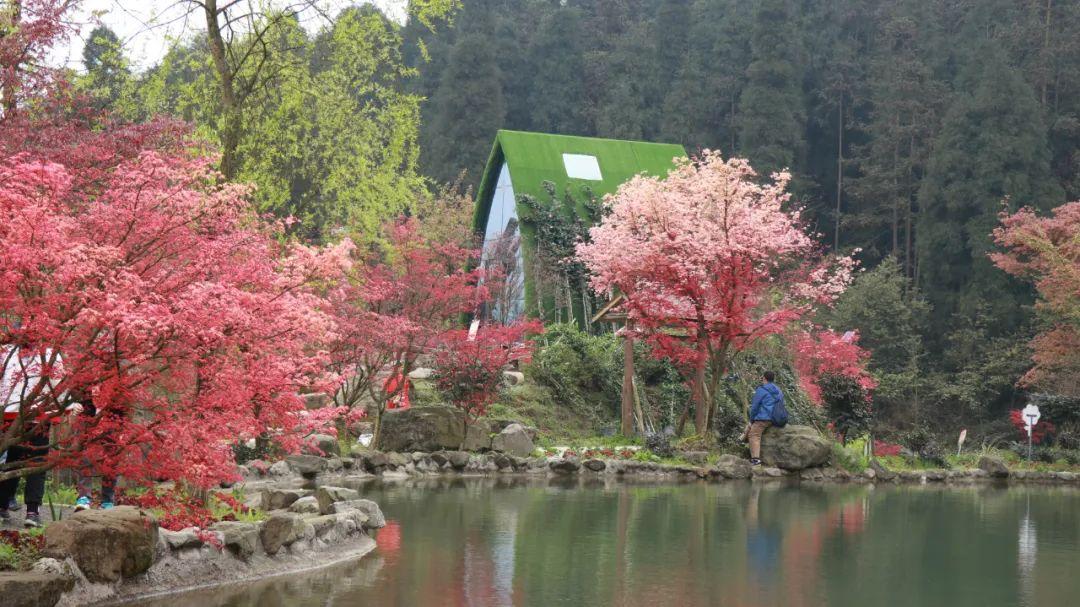 济宁:高层防火记心中 平安温暖过寒冬