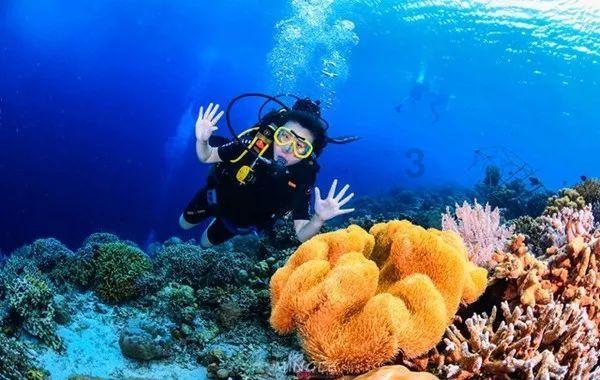 高三英语太差，不知道该不该跟老师走，150只能考50-60分