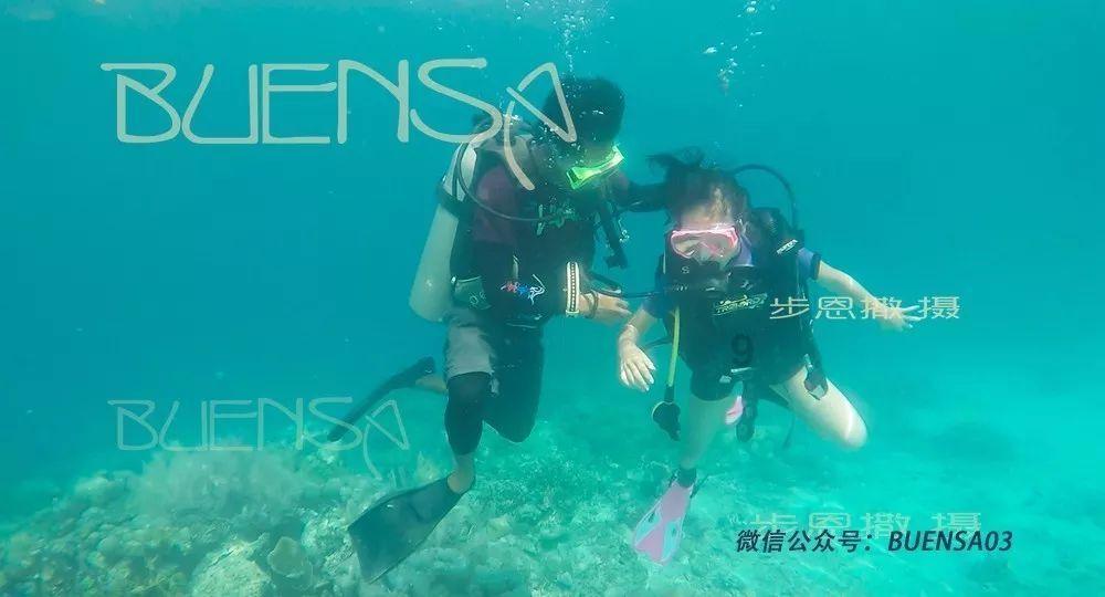 犀牛森林大逃生