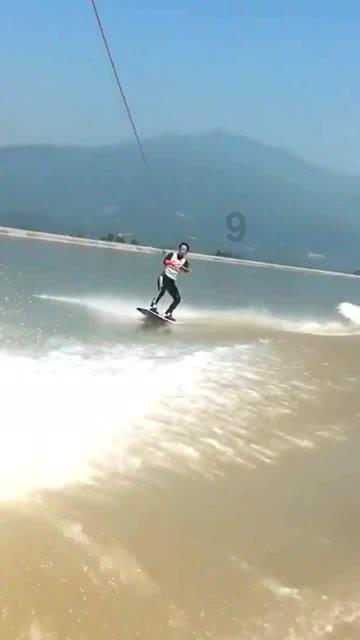 美丽的山坡上有什么颜色的花儿三种很美丽的那种