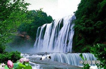 逃离神秘之林
