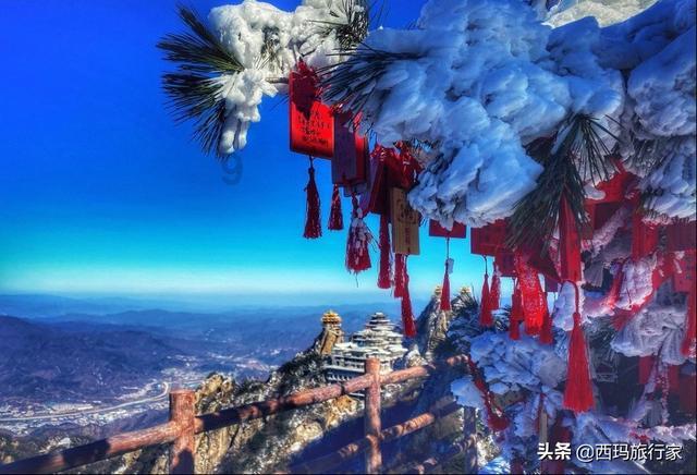驱灵师